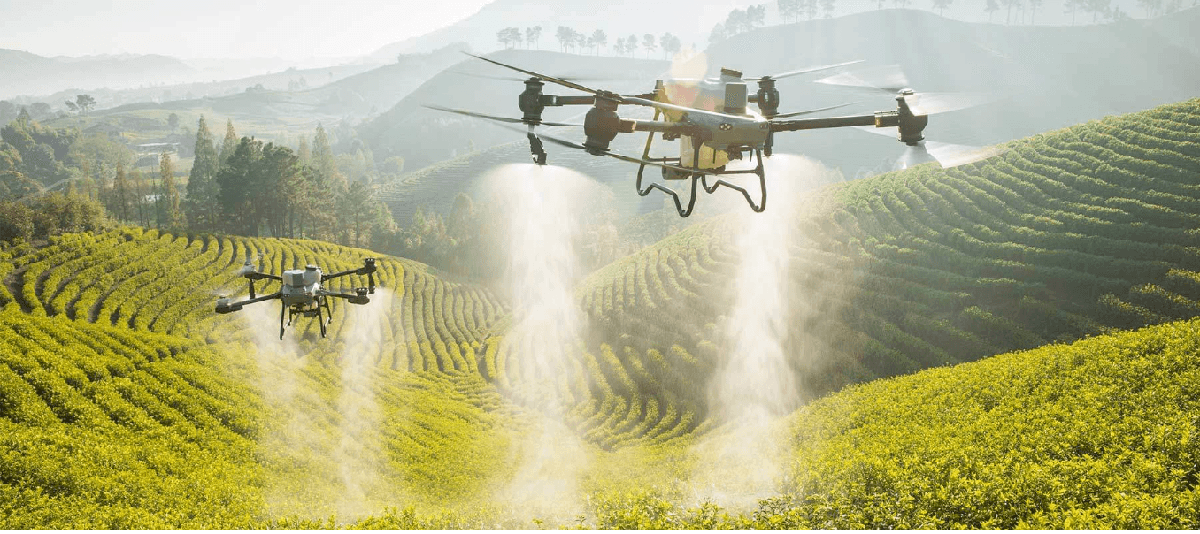 Drones agrícolas rociando fertilizante sobre plantaciones de té verde en colinas con terrazas neblinosas.